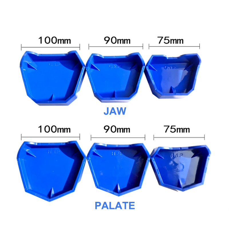 2/6Pcs Silicone  Dental Model  - огляд і ціна Teeth Whitening Trays