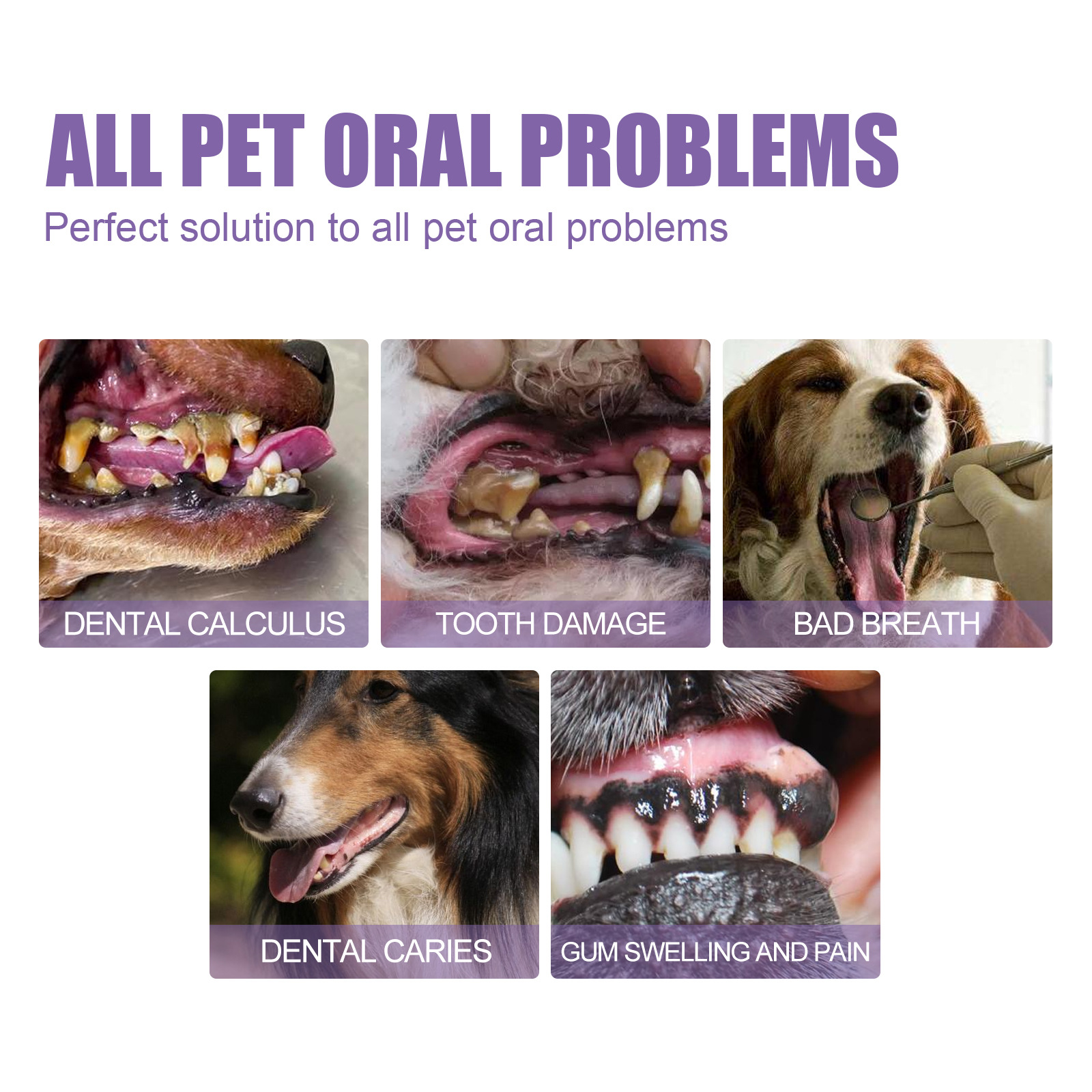 Pet Oral Repair Gel Puppy Tart - огляд і ціна Teeth Whitening App