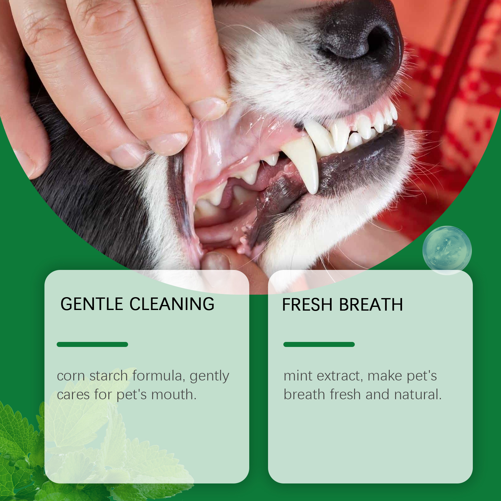 Pet Teeth Cleaning Powder Redu - огляд і ціна Teeth Whitening App