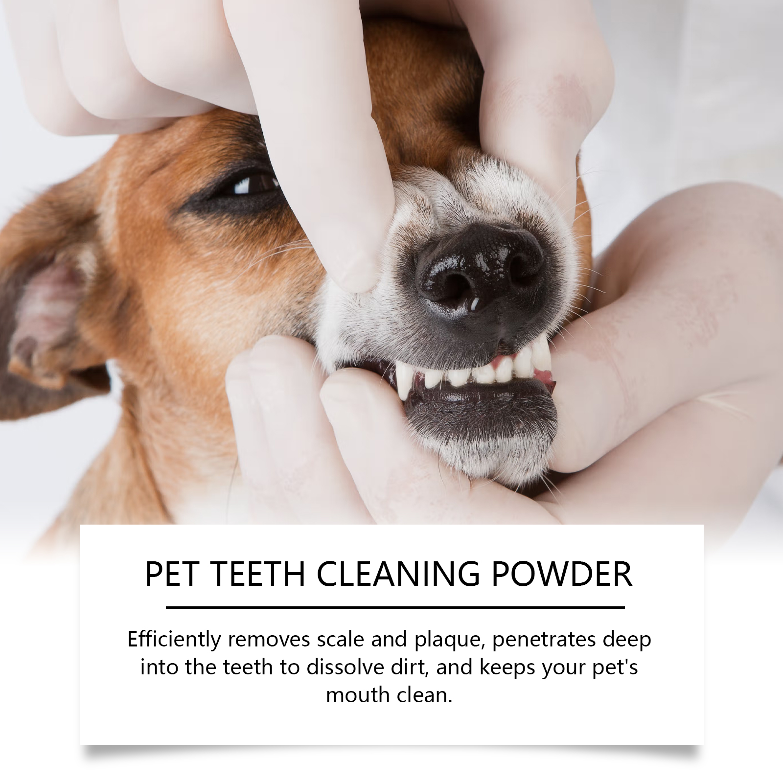 Pet Teeth Cleaning Powder Redu - огляд і ціна Teeth Whitening App